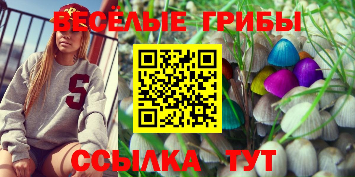 Псилоцибиновые грибы Psilocybe Шелехов