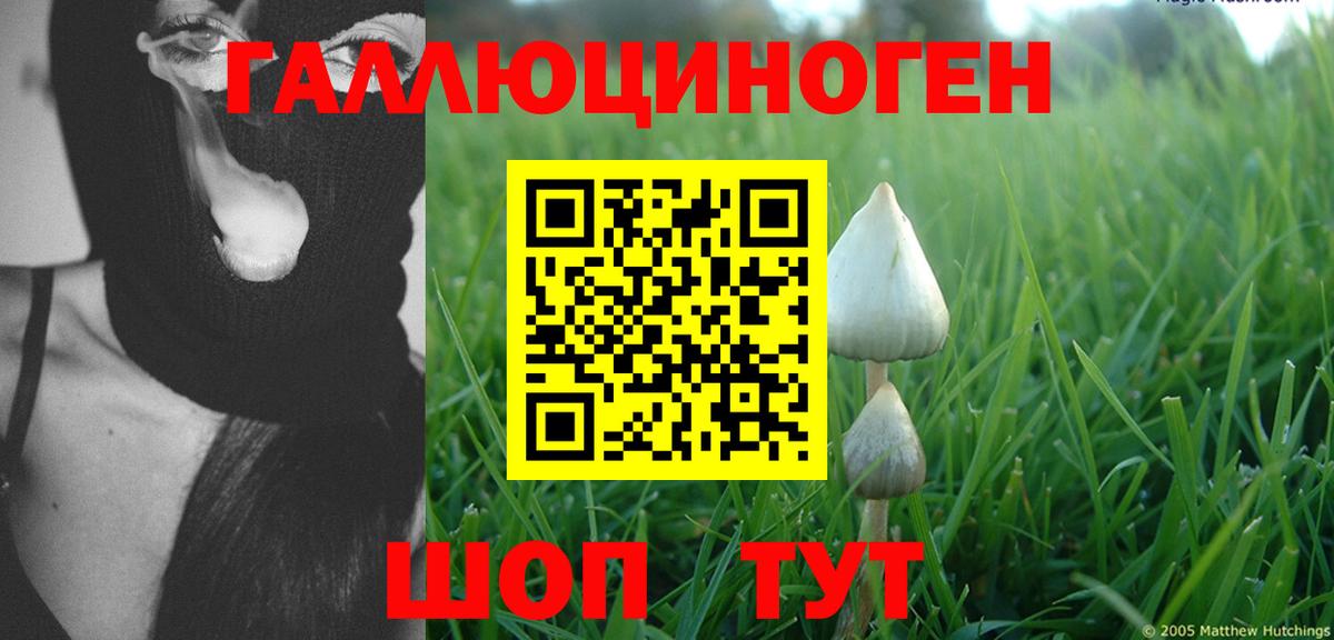 Псилоцибиновые грибы GOLDEN TEACHER  Вход с VPN  Шелехов 